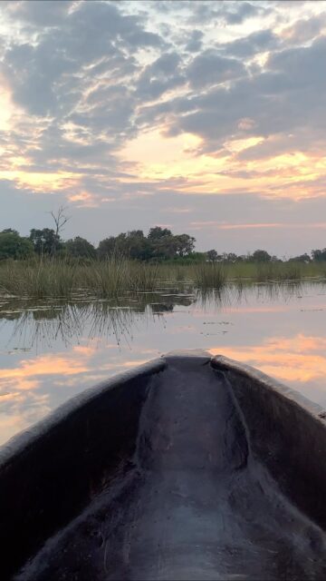 Navigating floodplains in Okavango Delta
#adventuretime #luxurytravel #luxurylifestyle #enyoinglife #mokoro #tranquility #quiet #okavangodelta #weareblueplanet #weloveanimals #wildlife #wilderness #nature #travelgram #earthcapture #animallovers #animalphotography #naturephotography #wearetravelers #somosplanetaazul #experienciasplanetaazul #mundoyaparte 🌍